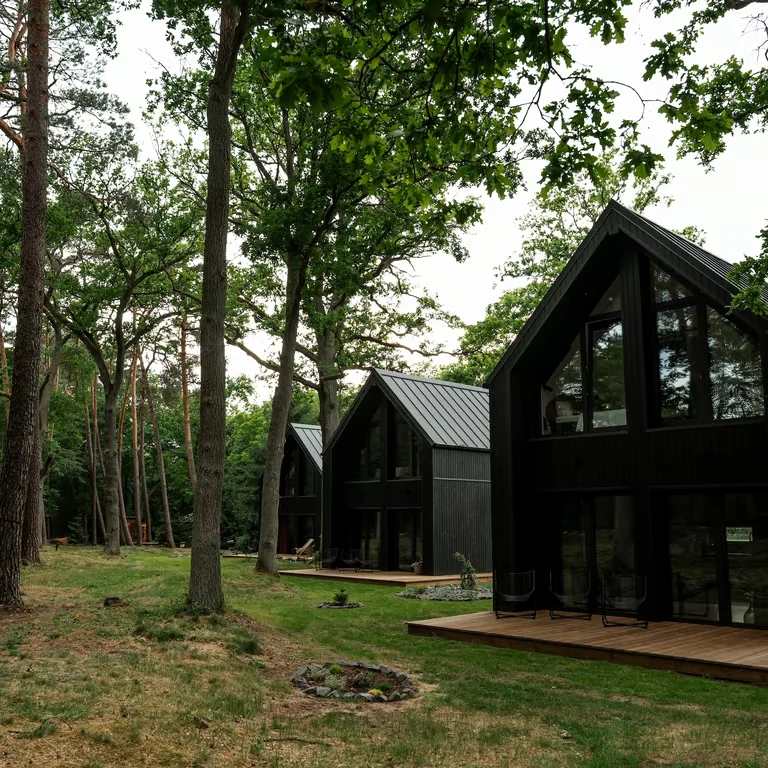 Domki Forrest Piękna Dolina pośród wysokich drzew