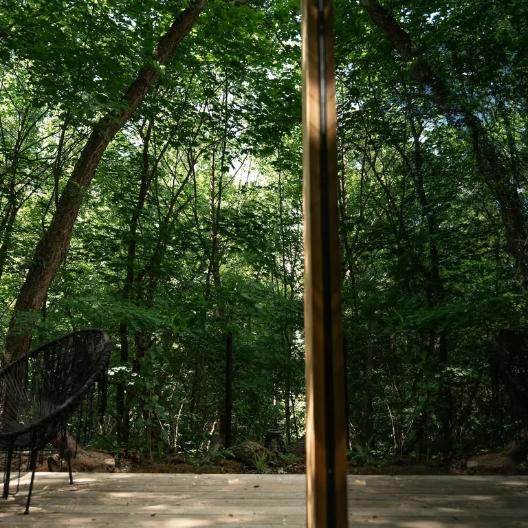 Taras domku Forrest Piękna Dolina otoczony zielenią